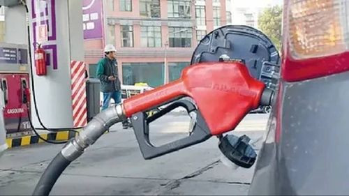 Imagen de Equipo económico de Alianza Libre plantea mantener subvención de combustibles a sectores vulnerables