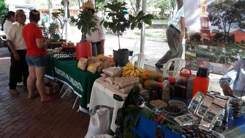 Disfruta del Aroma y Sabor en el Festival Nacional del Café 2023 en Buena Vista