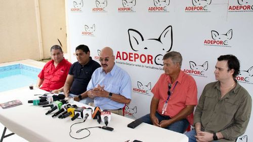 Productores de cerdo preocupados por la falta de soya y bloqueos