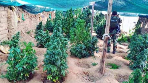 Colombianos lideran actividades irregulares en el norte de Potosí