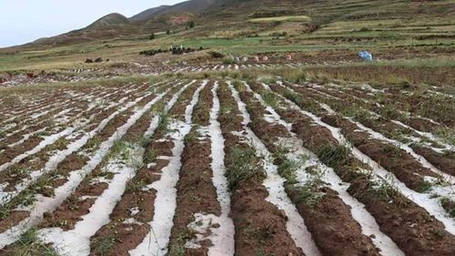  Heladas y granizadas dañan a 398.000 familias en Bolivia