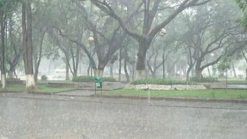 Alerta naranja por pronóstico de lluvias intensas en cuatro departamentos de Bolivia