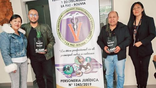 Gestión Social de El Alto busca alianza con veterinarios para realizar esterilizaciones y frenar el abandono animal