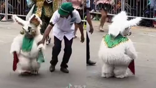&quot;Osito Enojón&quot; Roba Corazones y Provoca Ternura en el Carnaval de Oruro