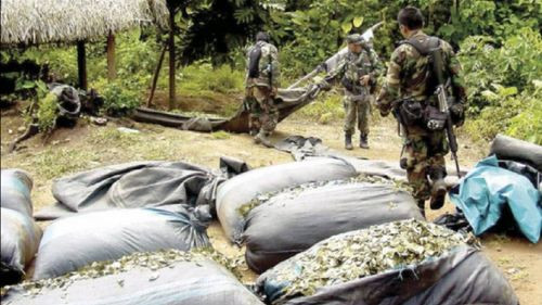 Ministro de Gobierno pone en escena los vínculos del Chapare con el narcotráfico