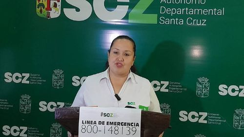 Santa Cruz Reporta 701 Focos De Calor Y Un Incendio Activo En Concepción