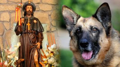 ¿Cuál es la historia de San Roque y por qué se conmemora el 16 de agosto?