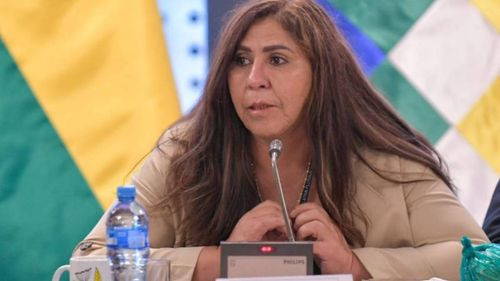  Senadora del MAS denuncia nepotismo en el Órgano Judicial