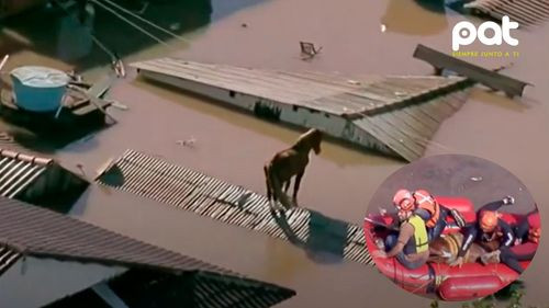 Rescatan a caballo aislado en tejado por inundaciones en Brasil