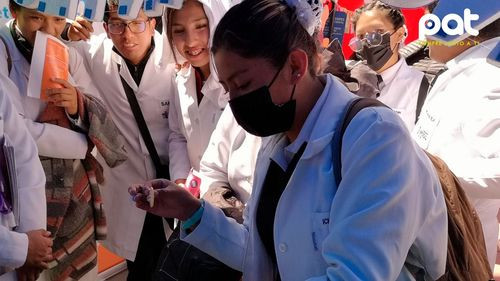 Seis colegios compiten en concurso “Me quiero, me cuido” para prevenir embarazos en adolescentes