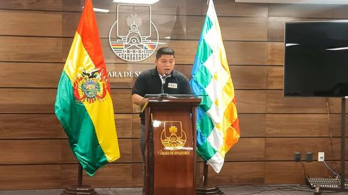 Senador Leonardo Loza “el informe de Arce Catacora será una mentira” 