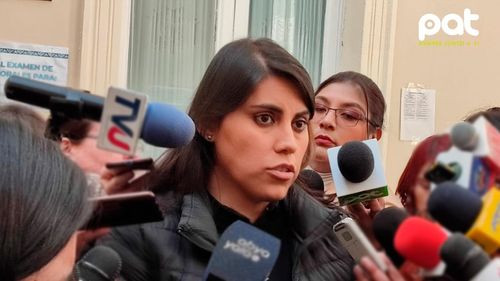 Oposición insta a priorizar proyecto de ley para anular elecciones primarias