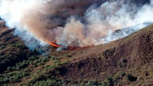 Bolivia reporta 1.167 focos de calor en las últimas 24 horas