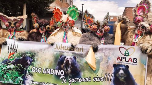 Danzarines en el Carnaval de Oruro alzan su voz por la protección del Oso Andino