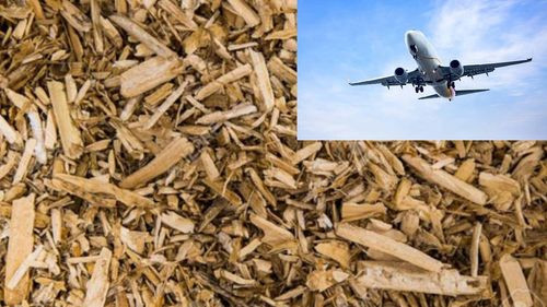Empresa japonesa pionera en convertir residuos de madera en combustible para aviones
