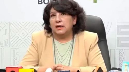 “Es más una medida política”, dice viceministra ante instrucción del TSJ de revisar detenciones de Camacho, Pumari y Añez