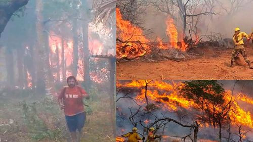  Voraz incendio consume la comunidad Colorada en Porongo: Vecinos luchan contra las llamas antes de la llegada de unidades de emergencia