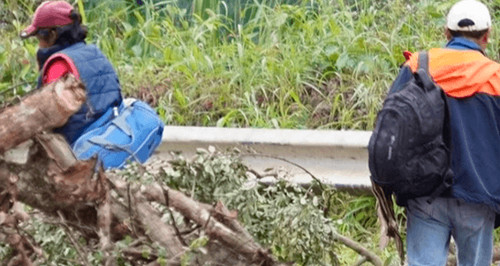 Bloqueos en caranavi paralizan rutas hacia los yungas y el norte amazónico de la paz