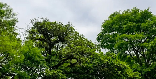 Clima inestable en el país: lluvias y tormentas marcarán la jornada de este miércoles