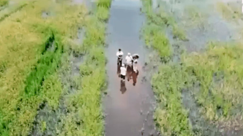 Ascensión de Guarayos se declara en desastre por lluvias e inundaciones