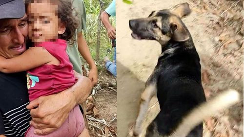 “Guardián”, el perrito que ayudó a encontrar a una niña desaparecida