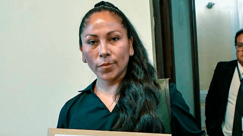 Eliana Mallea es la primera postulante registrada para vocal del Tribunal Supremo Electoral