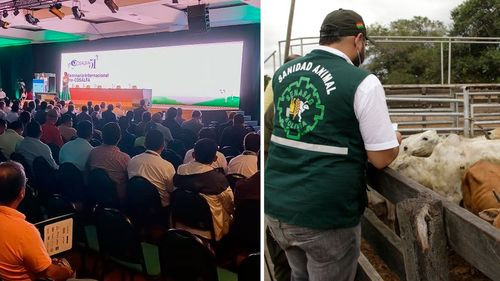 Bolivia fue sede del seminario pre Cosalfa 51 para erradicar la fiebre aftosa en Sudamérica