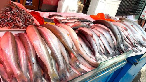 Suben los precios del pescado en ciudades del eje central a días de Semana Santa