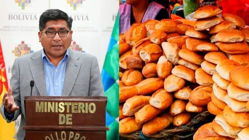 Gobierno aprueba subvención a la producción agrícola y al sector panificador
