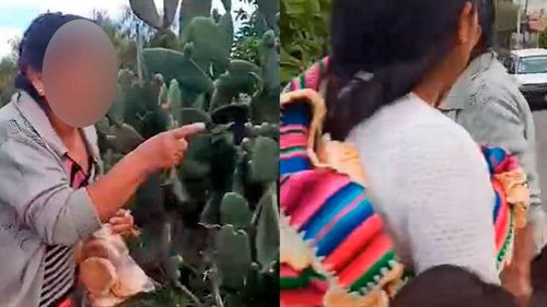 Conflicto por tunas en la zona norte de Cochabamba deja a niños en lágrimas