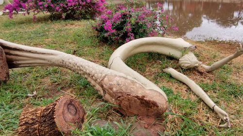 Hidras y sirenas del parque El Arenal  están destruidas y abandonadas en  Los Olivos