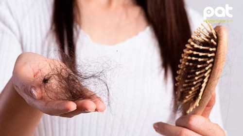 Cinco alimentos clave para prevenir la caída del cabello y promover su crecimiento  