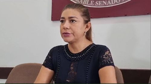 Diputada Tatiana Añez de CREEMOS expresa preocupación sobre Elecciones Judiciales en Bolivia
