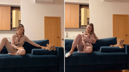 Mujer rusa causa controversia al mostrar su león de mascota en TikTok
