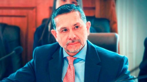 Imagen de Presidente de la Aduana afirma que funcionarios debían revisar maletas pese a no tener autorización