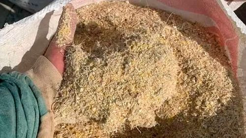 Incremento del 30% en la cascarilla de soya impacta en la producción de pollo, huevo y leche