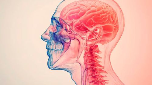 Factores que aumentan el riesgo de Alzheimer