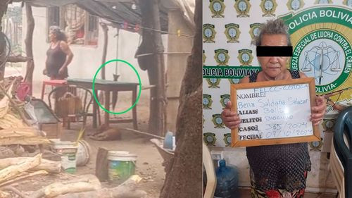 Aprehenden a mujer acusada de biocidio en Cotoca tras maltrato y asesinato de un gato