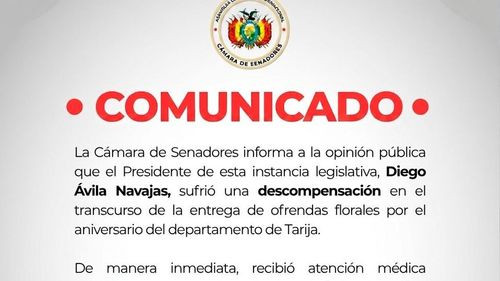 Imagen de Presidente del Senado, Diego Ávila, sufre descompensación durante actos protocolares en Tarija