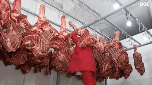 Gobierno avanza en exportación de carne y lácteos a Egipto y Chile