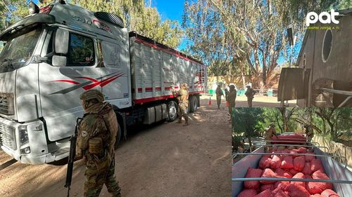 Incautan camión con semillas de procedencia ilícita en operativo del Comando Estratégico Operacional de Lucha Contra el Contrabando