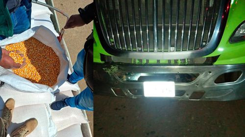 El Viceministerio de Lucha Contra el Contrabando confisca maíz valorado en Bs 100 mil