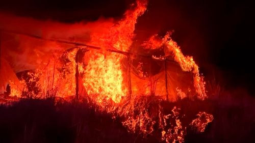 Hallan 15 viveros de marihuana en Chayanta y los incineran en operativo antidrogas