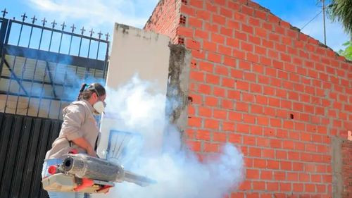 Casos de chikungunya siguen en ascenso en Santa Cruz