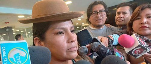 Proyecto de ley busca sanciones penales por daños causados por combustible en mal estado