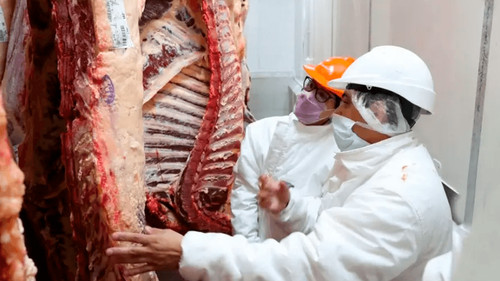 Avances en la habilitación sanitaria de carne de res boliviana para exportación a Chile