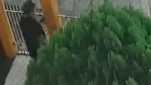 Trabajadora impide rapto de niño durante violento asalto en Santa Cruz
