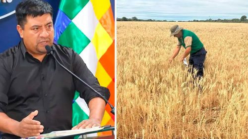 Ministro asegura autosuficiencia alimentaria; agropecuarios advierten déficit de granos