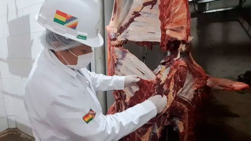 Bolivia reduce su producción y exportación de carne de res en 2025