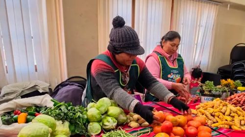 Ley de Alivio Tributario beneficiará a más de 82 mil pequeños contribuyentes con deudas menores a Bs 10 millones